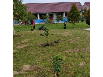 PENANAMAN POHON ALPUKAT DAN PETE DI LAHAN SMAN 1 MAKARTI JAYA