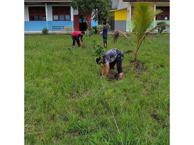 PENANAMAN POHON ALPUKAT DAN PETE DI LAHAN SMAN 1 MAKARTI JAYA