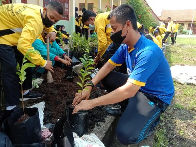 UPT SMAN 8 BANYUASIN TERIMA 700 BIBIT BUAH 