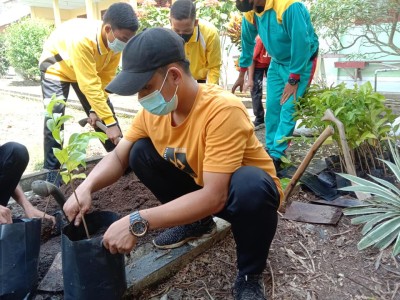 UPT SMAN 8 BANYUASIN TERIMA 700 BIBIT BUAH 